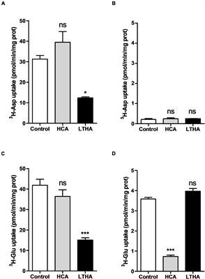 Validation of a System xc– Functional Assay in Cultured Astrocytes and Nervous Tissue Samples